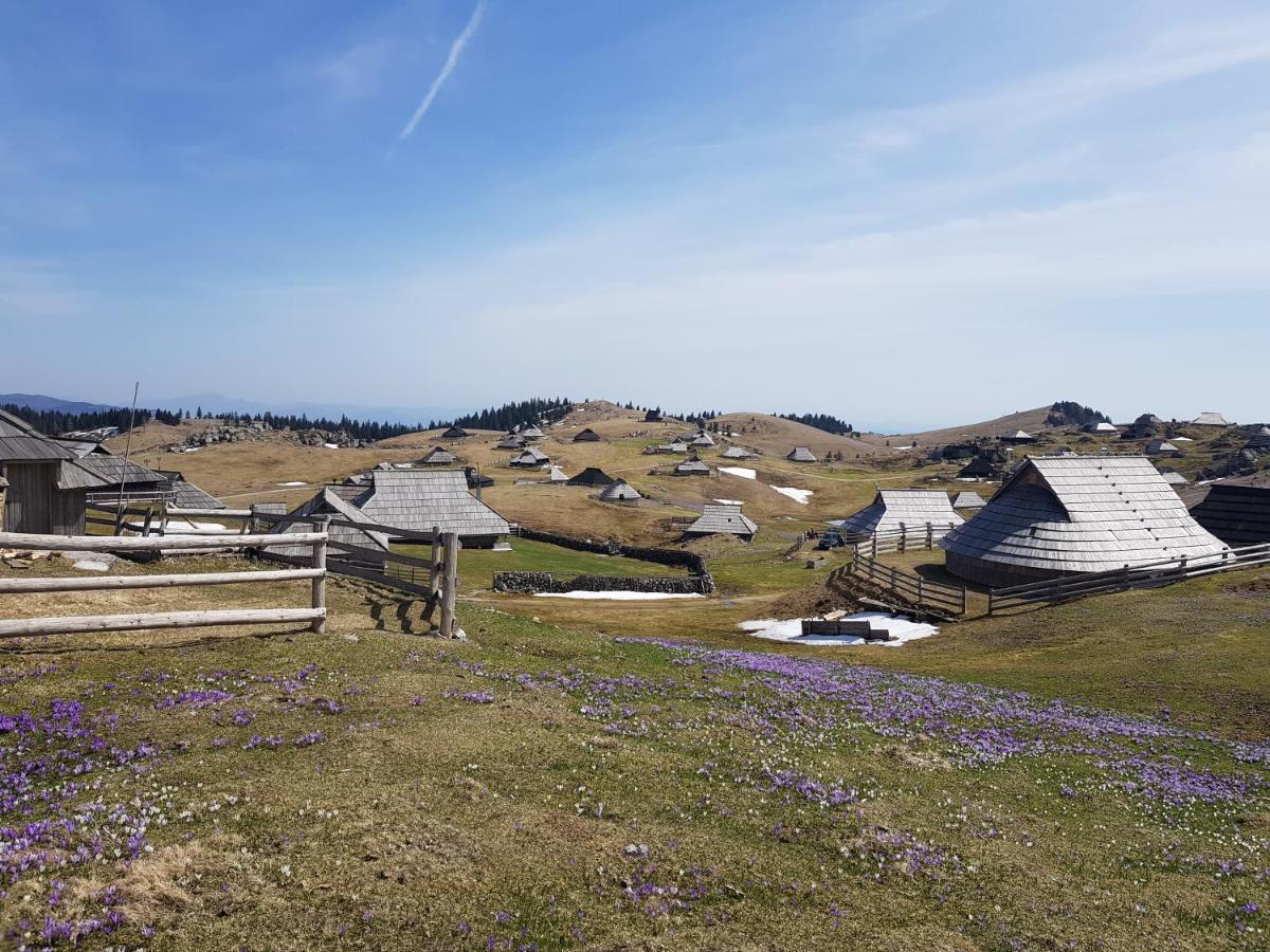 Chalet Gorenjka - Velika Planina Stahovica Exterior photo
